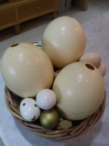 Ostrich and paper eggs in a basket