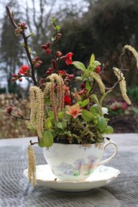 Tea cup arrangement flowering quince