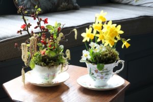 Tea cup flower arrangements