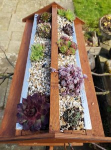 bird table roof succulents