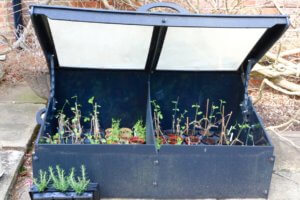 Recycled plastic cold frame