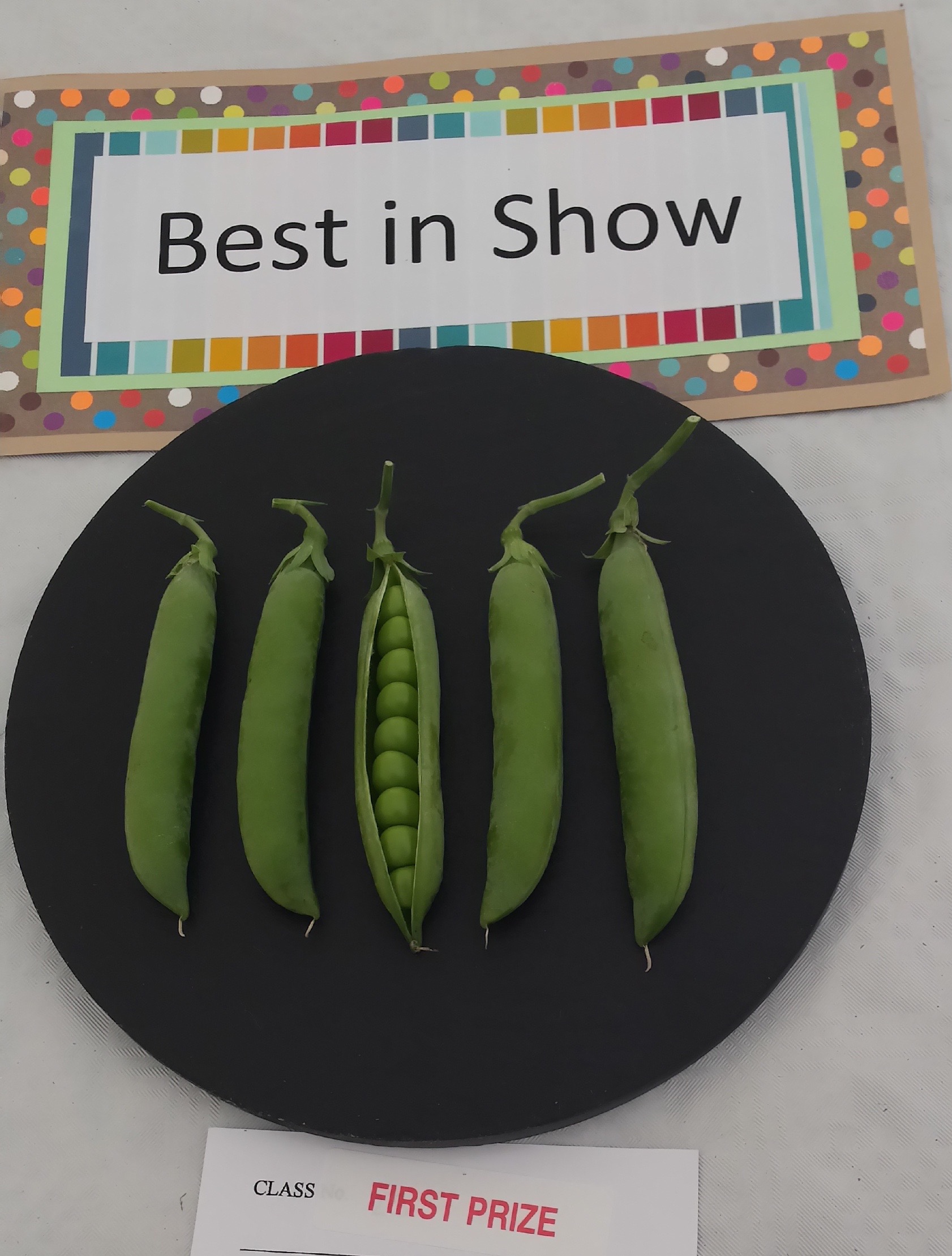Peas in village show