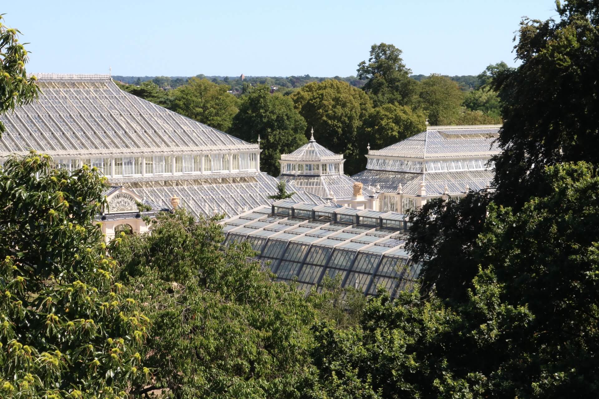 Kew Gardens temperate house from treetop walk