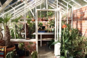 Alitex greenhouse