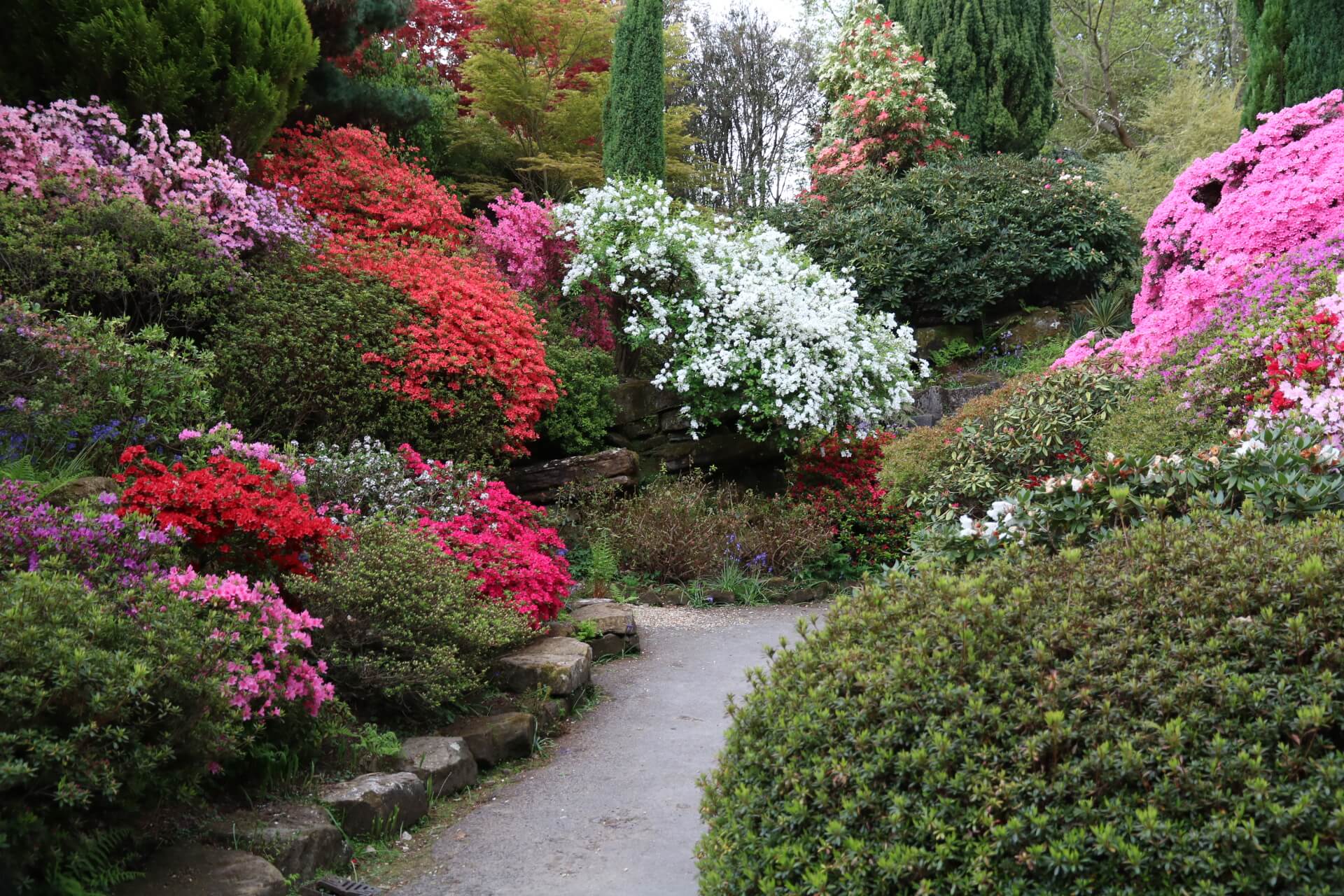 Alpine Garden Society Diary - Leonardslee's Pulham Rock Garden | The Tea Break Gardener on Alpine Garden Design
 id=69642