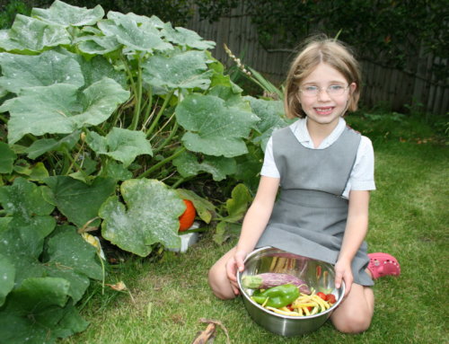The self isolators’ guide to gardening with children – sowing seeds