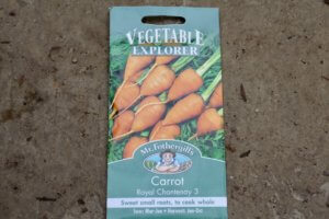 Quick growing vegetables - baby carrots