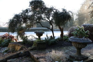 Rock garden in frost
